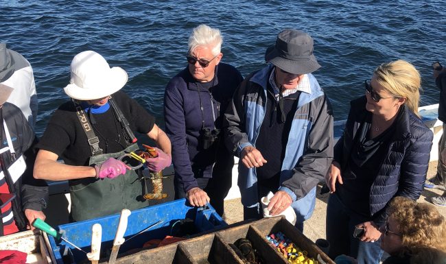 DOWNEAST TRADITION - %title%- September, 2024
